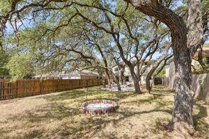  Photo 50