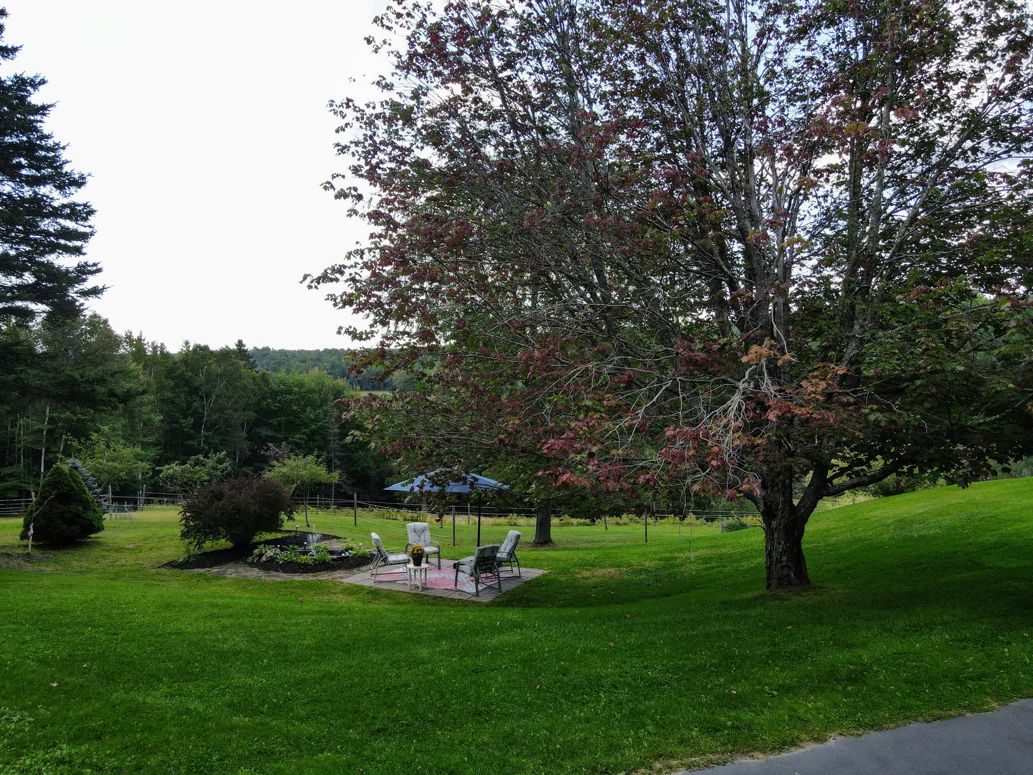  Photo 46