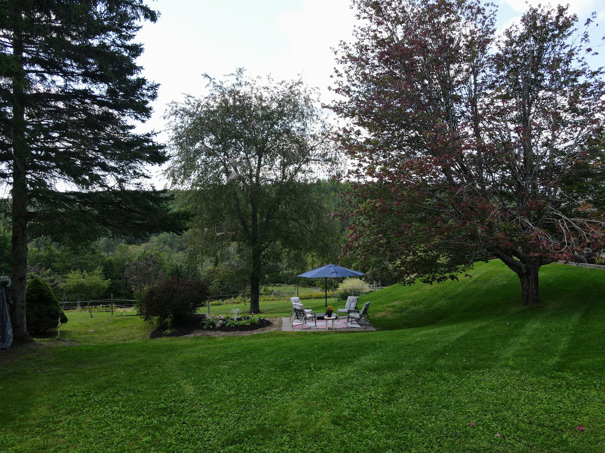  Photo 47