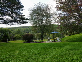  Photo 47