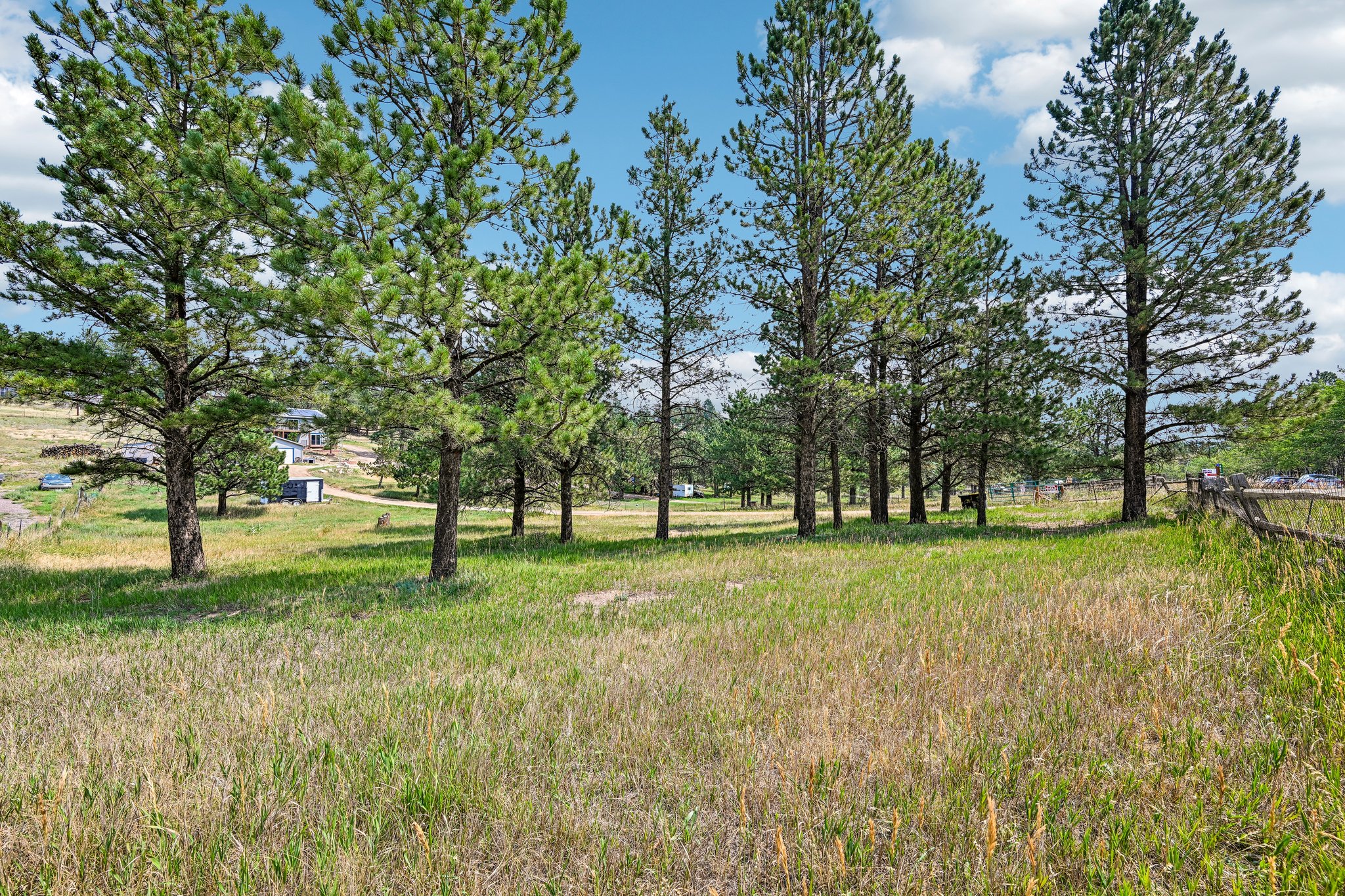 Yellow Pine Dr-S0508-004.jpg