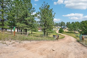 Yellow Pine Dr-S0508-002.jpg