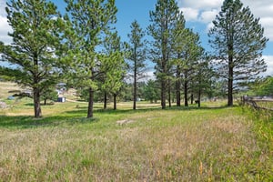 Yellow Pine Dr-S0508-004.jpg