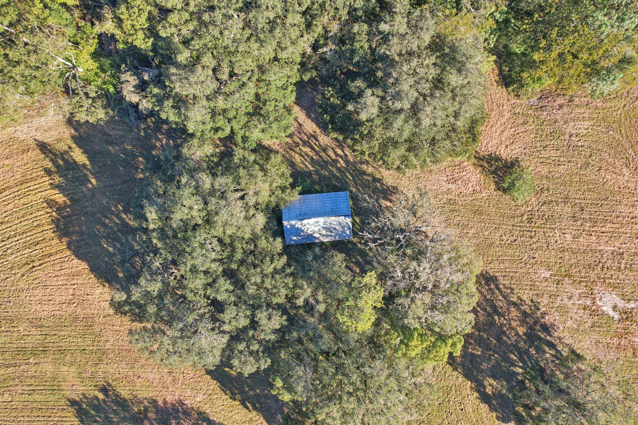 E County Rd 542-004.jpg