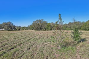 E County Rd 542-008.jpg