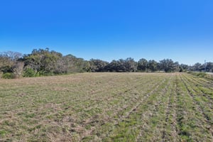 E County Rd 542-009.jpg