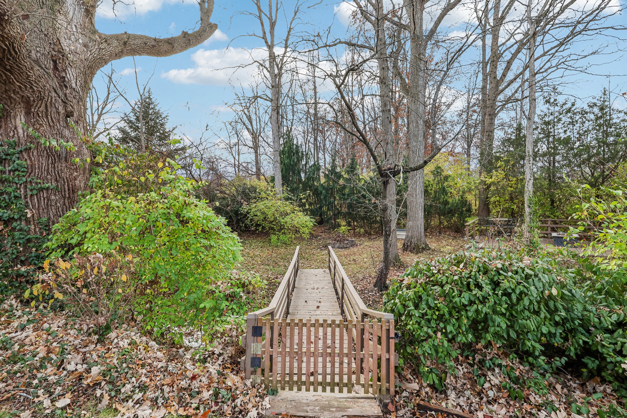 Kingsley Cir-S2511-059.jpg