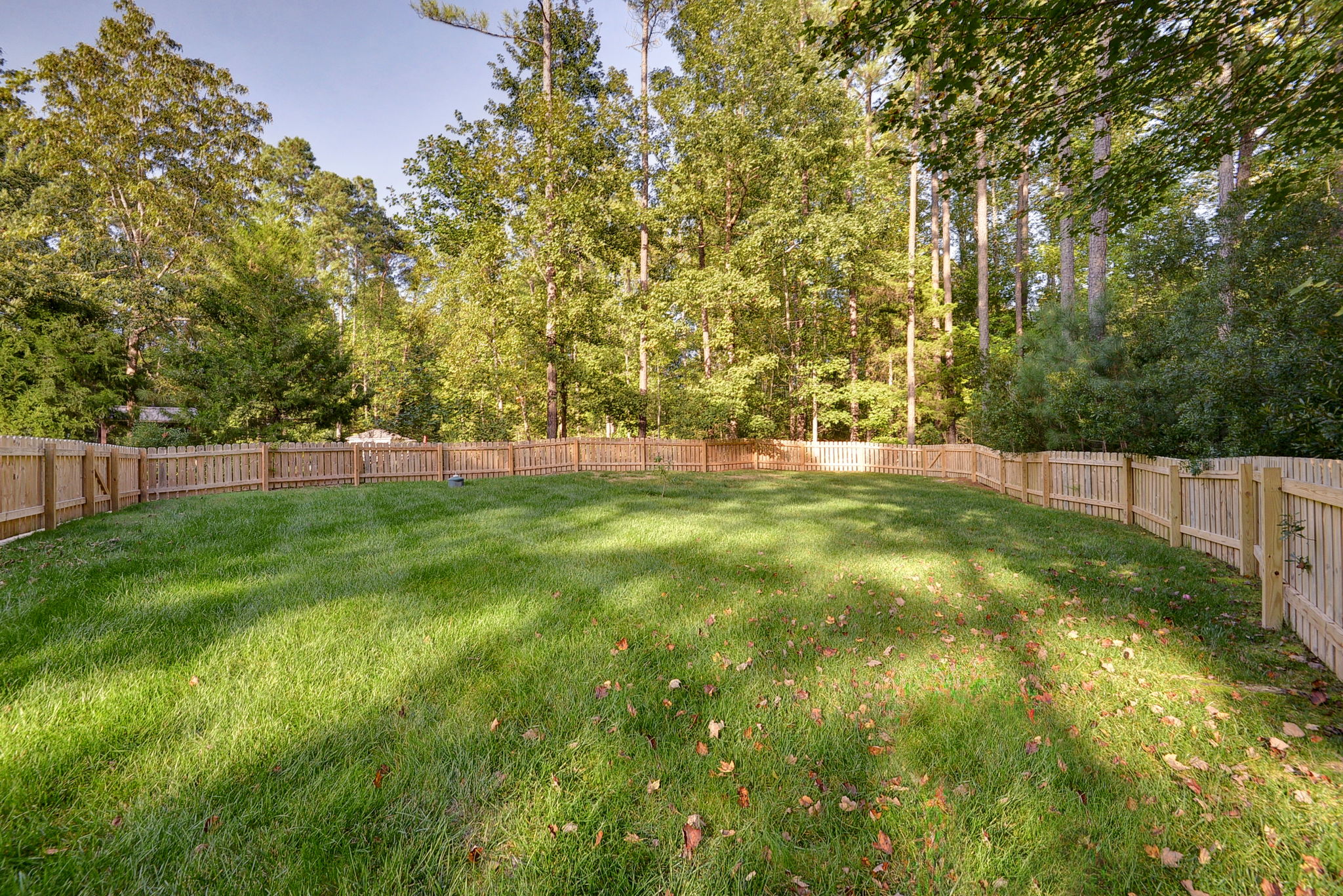 Black Rail Ct, VA 23140