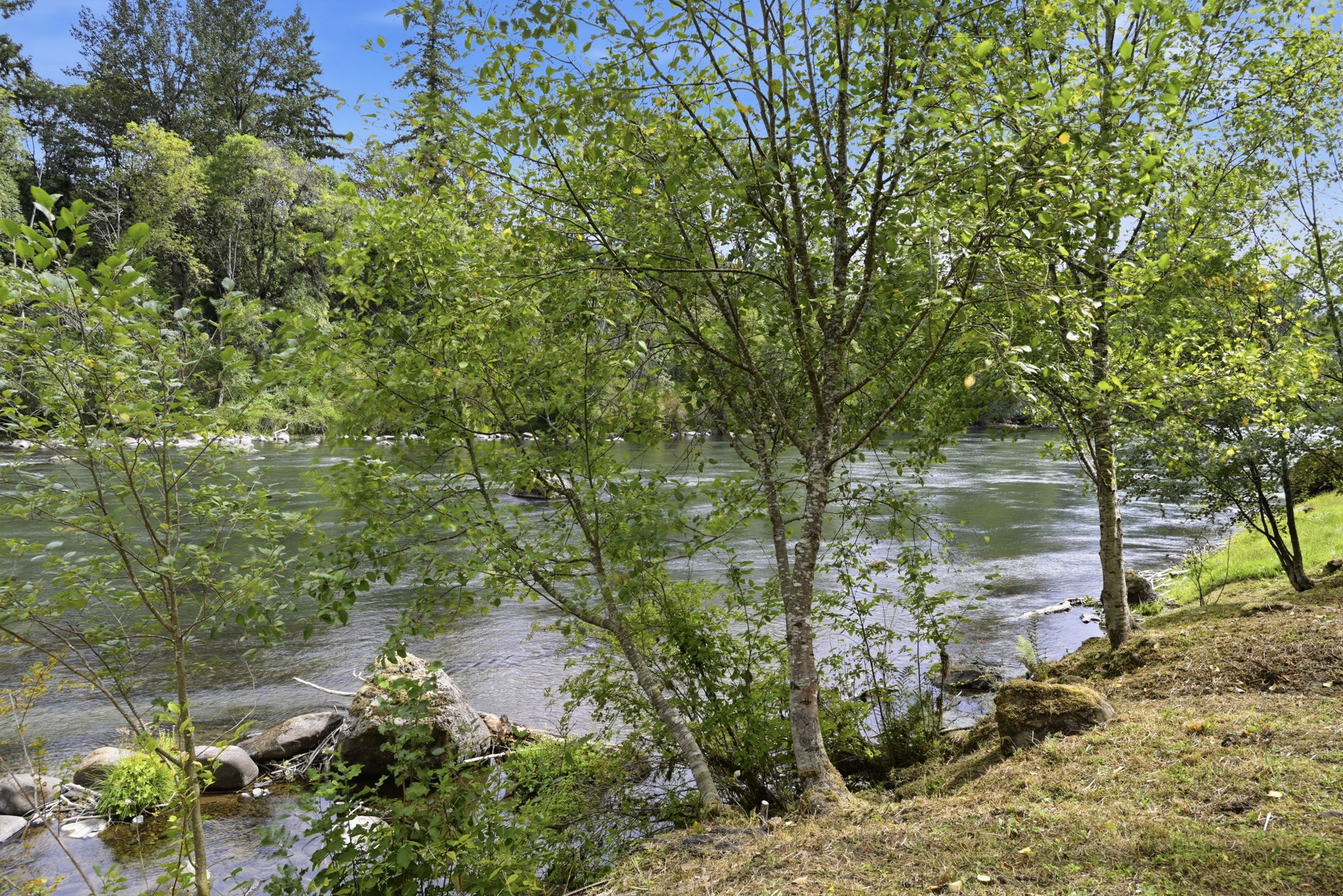  Photo 51