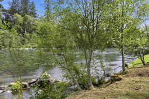  Photo 50