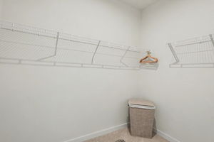 Photo 49