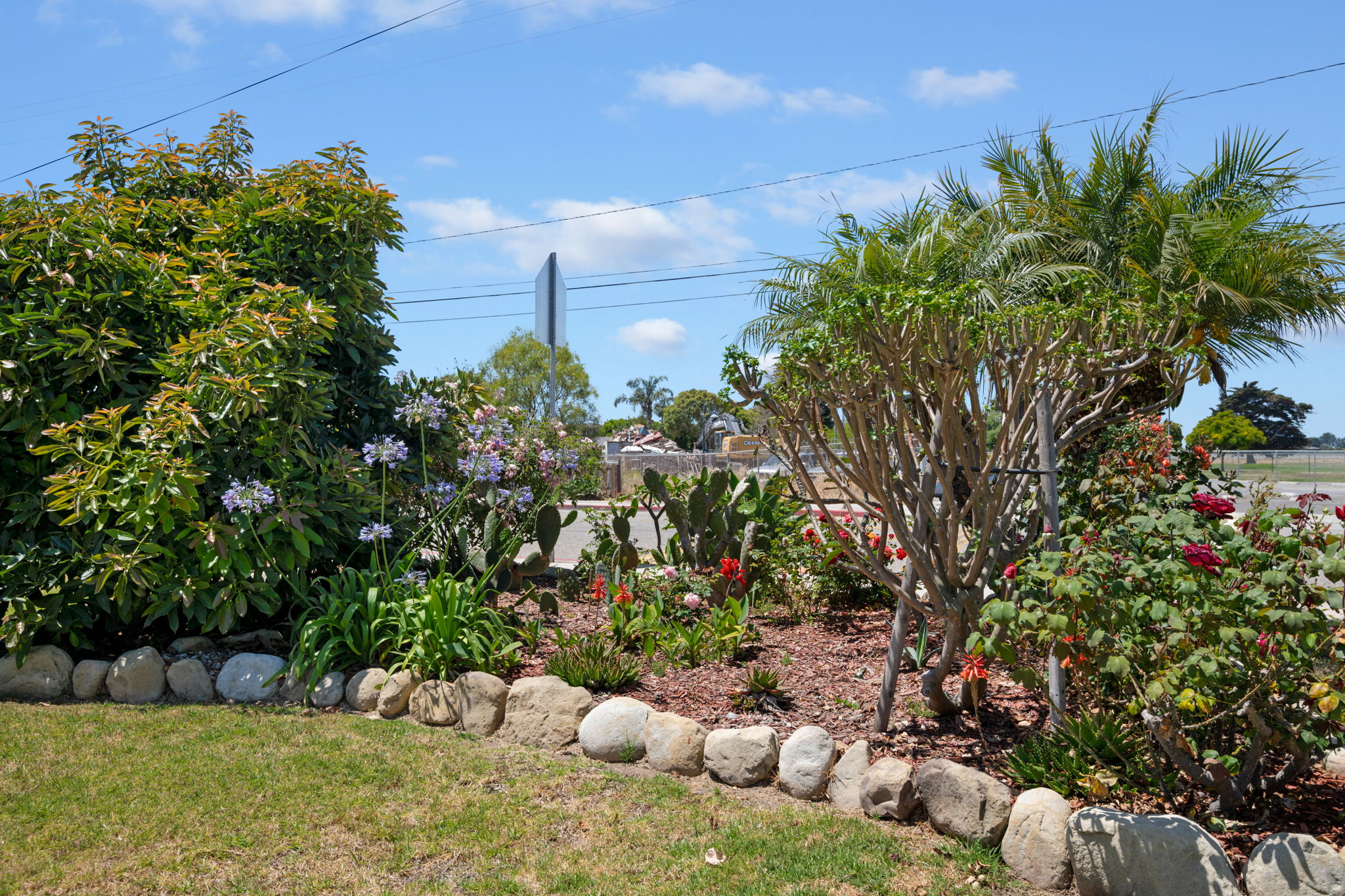 27 - Front Garden