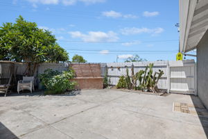29 - Patio