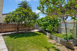 30 - Back Yard