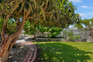 31 - Back Yard