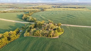 4618 McKelvie Rd_014.jpg