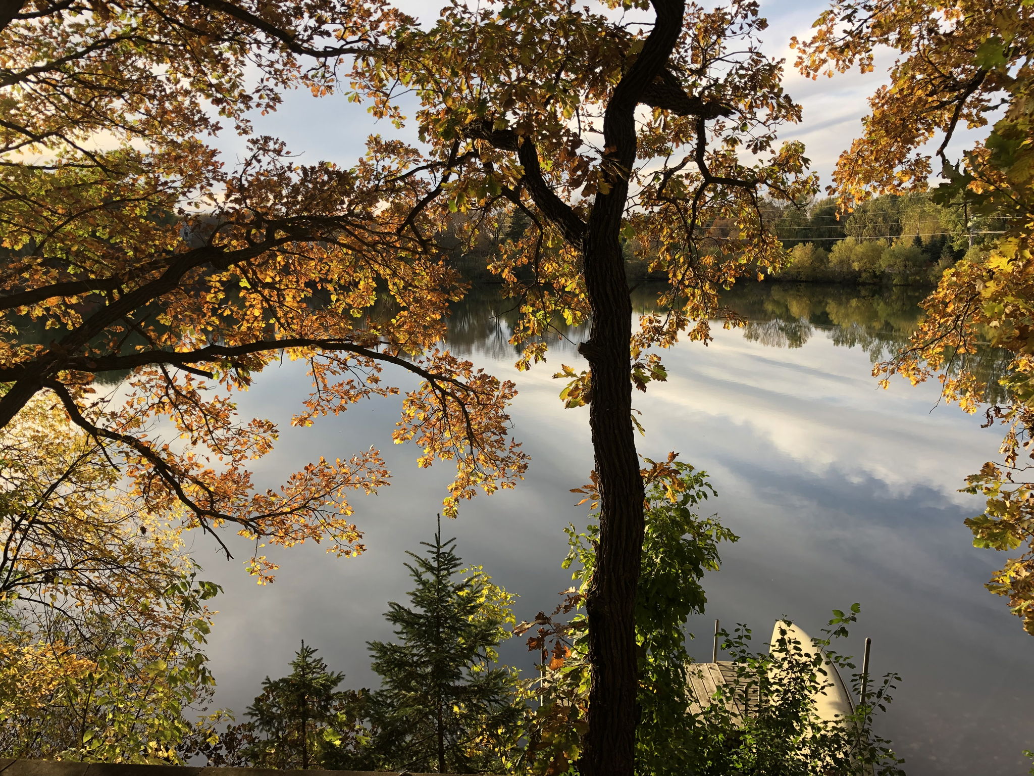 Up North feel in your backyard!