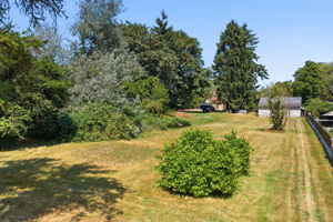  Photo 33