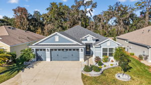 Front Elevation with Rear Woods