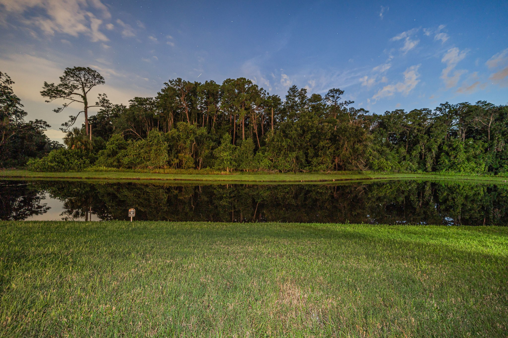 Backyard37