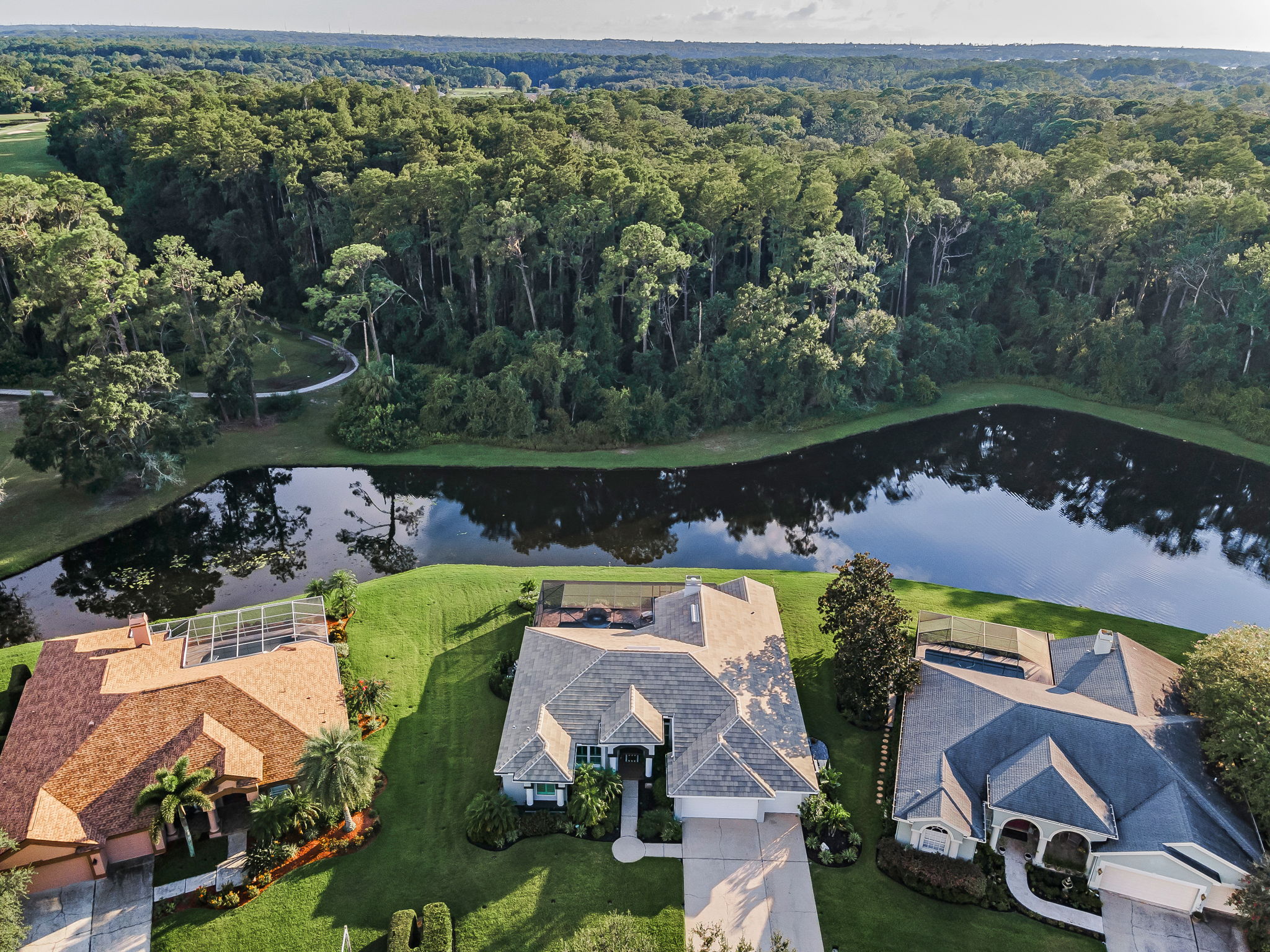 Aerial (12)