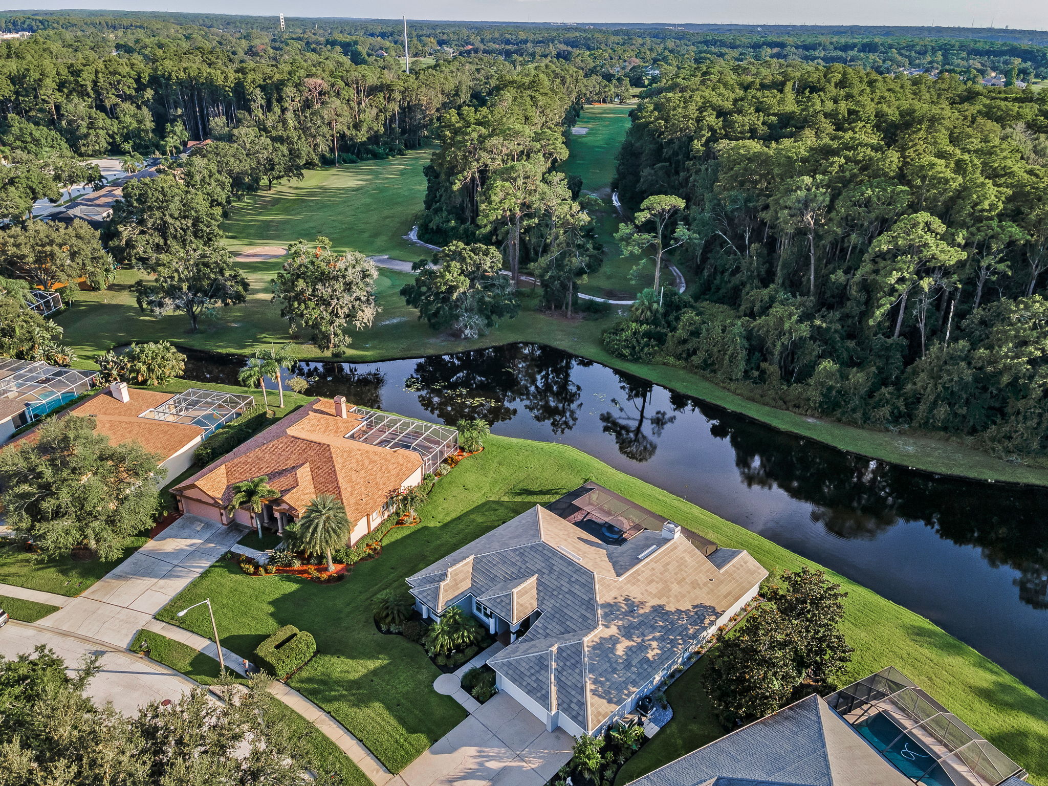 Aerial (14)
