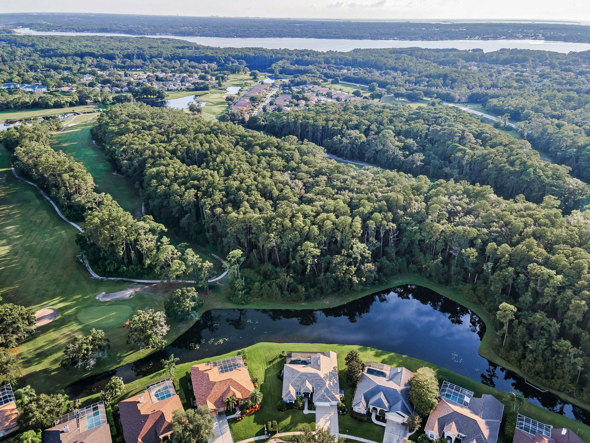 Aerial (15)