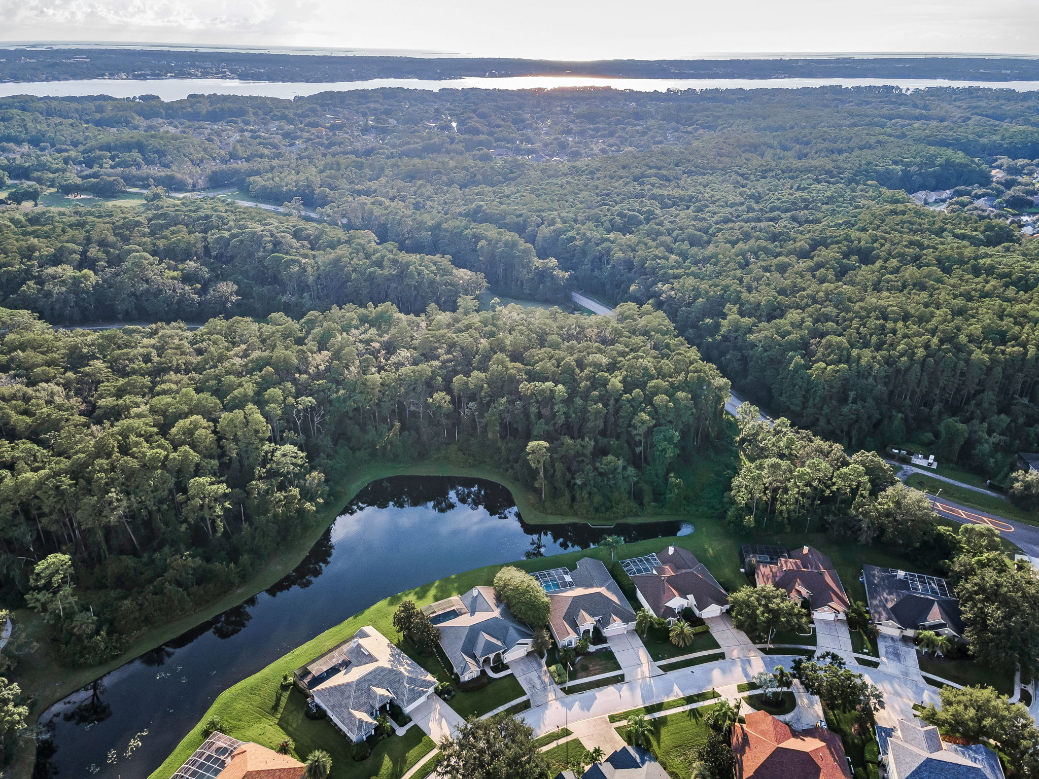 Aerial (16)