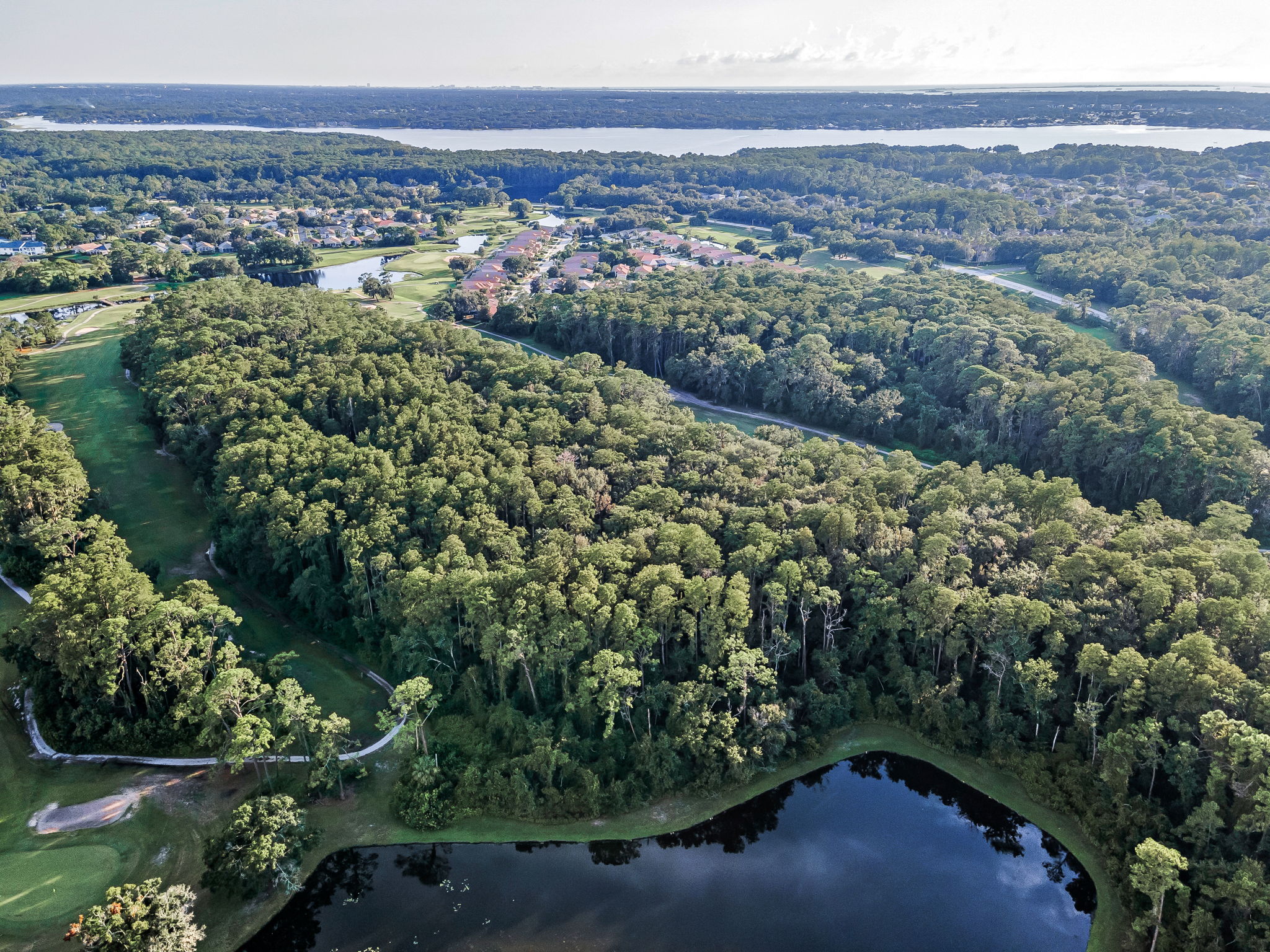 Aerial (18)