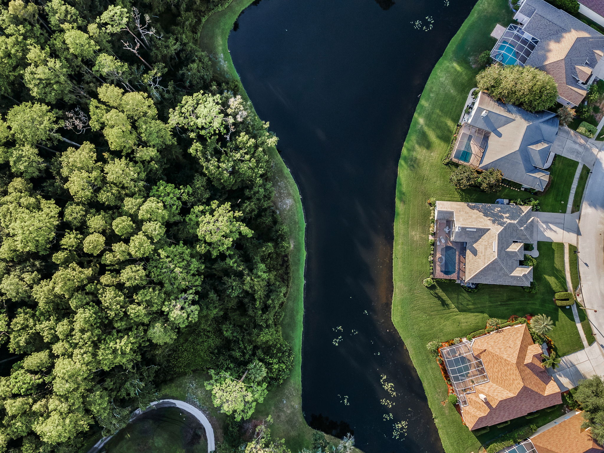 Aerial (19)