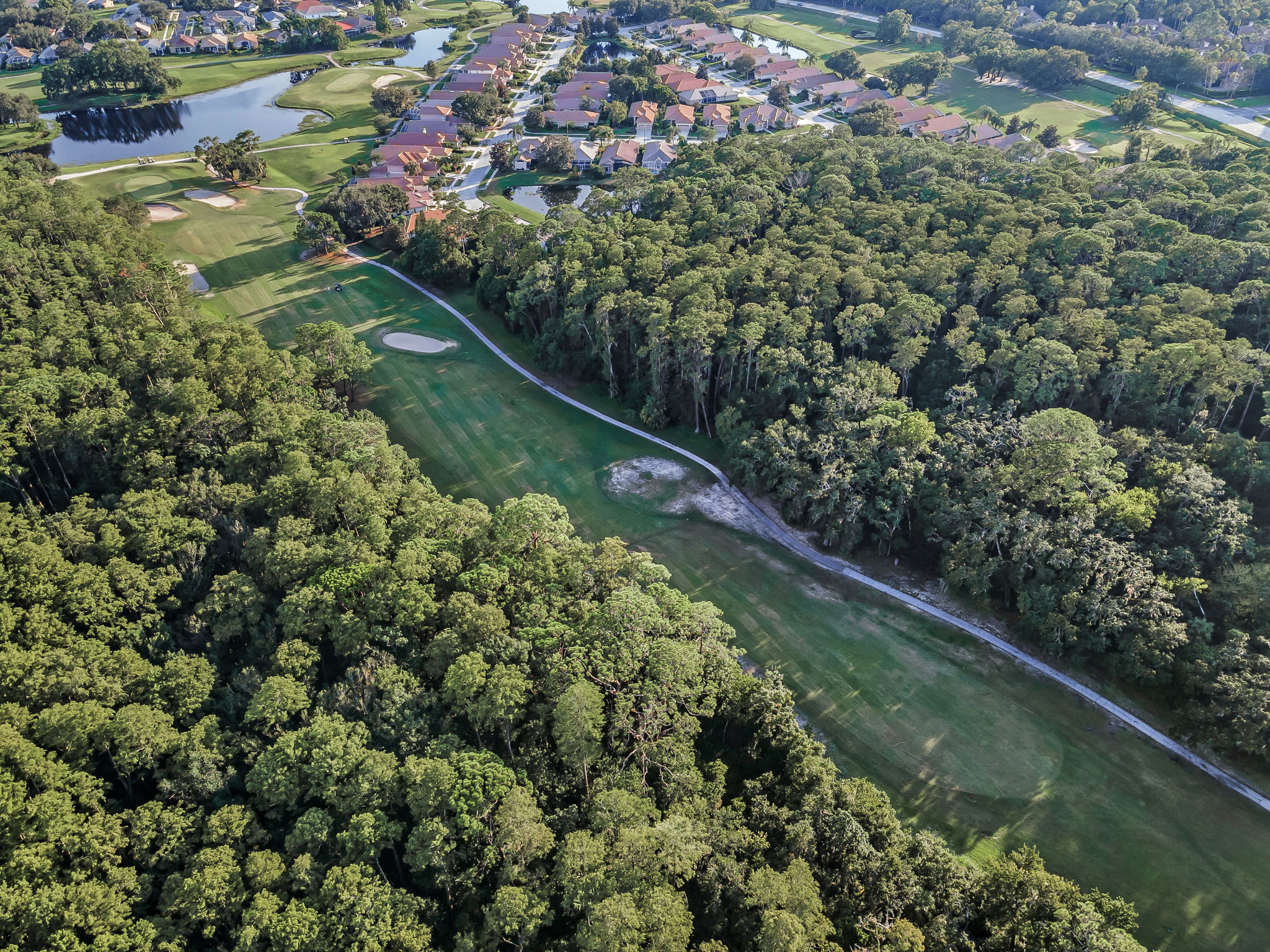 Aerial (22)