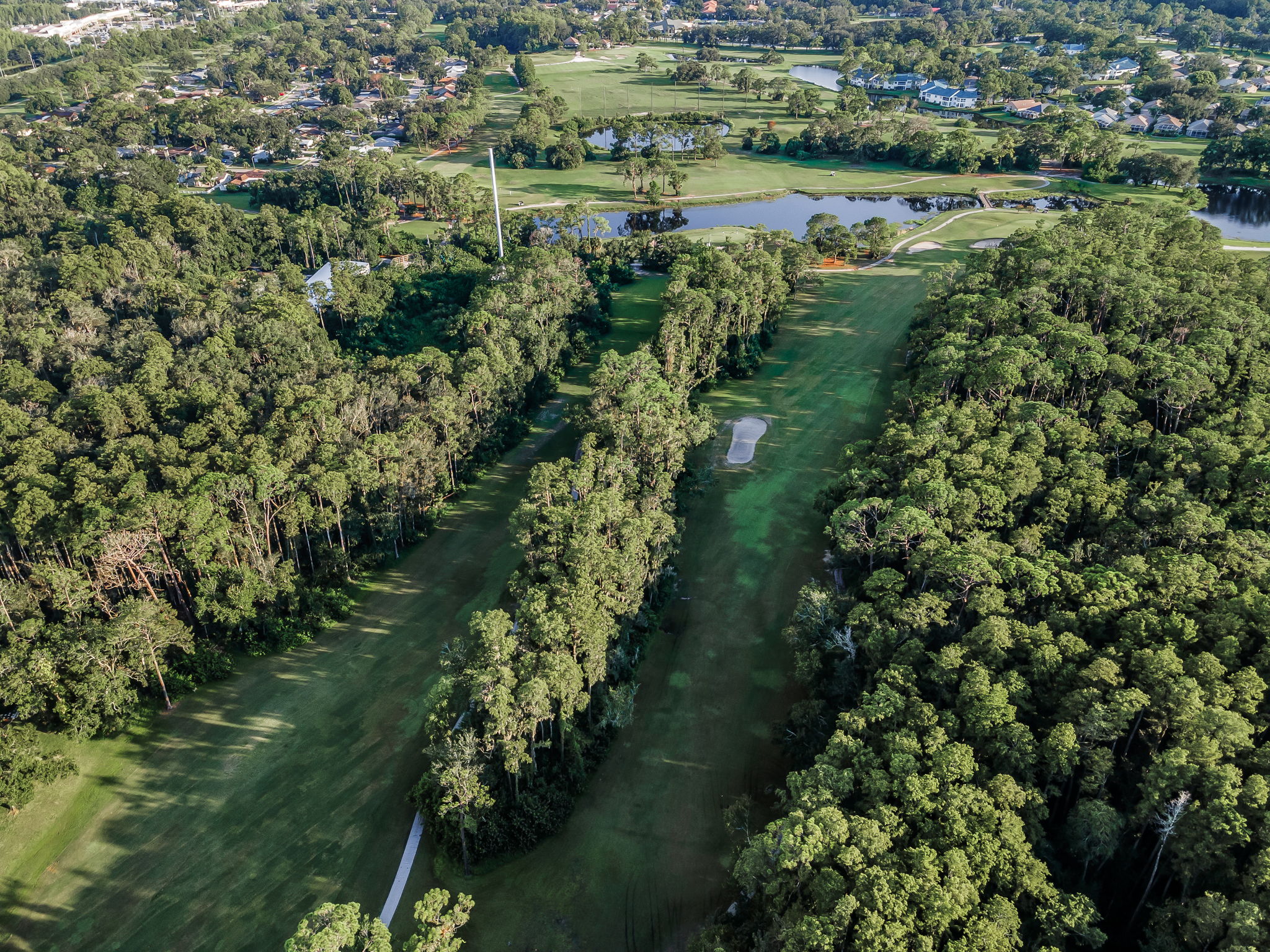 Aerial (25)