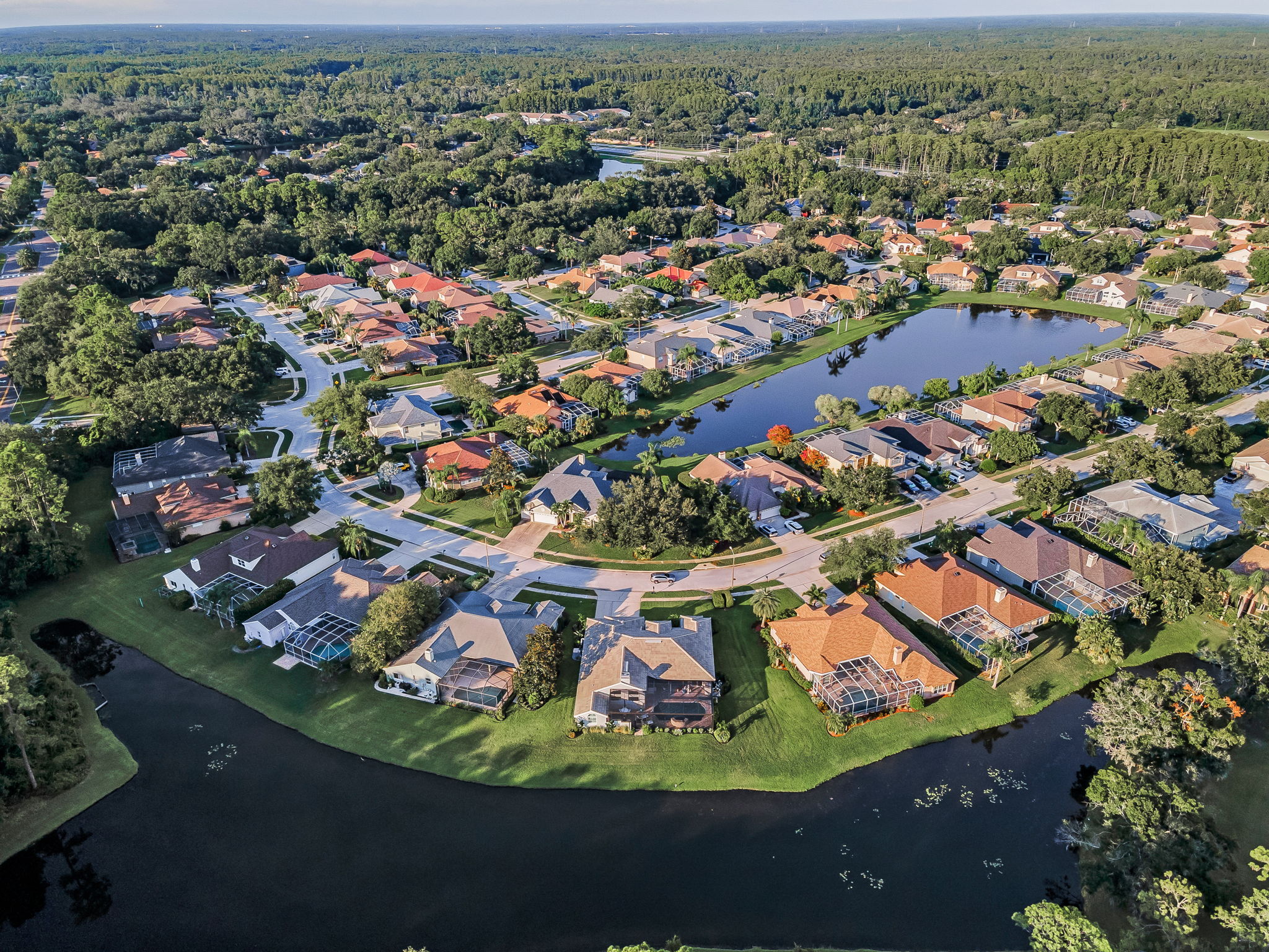Aerial (27)