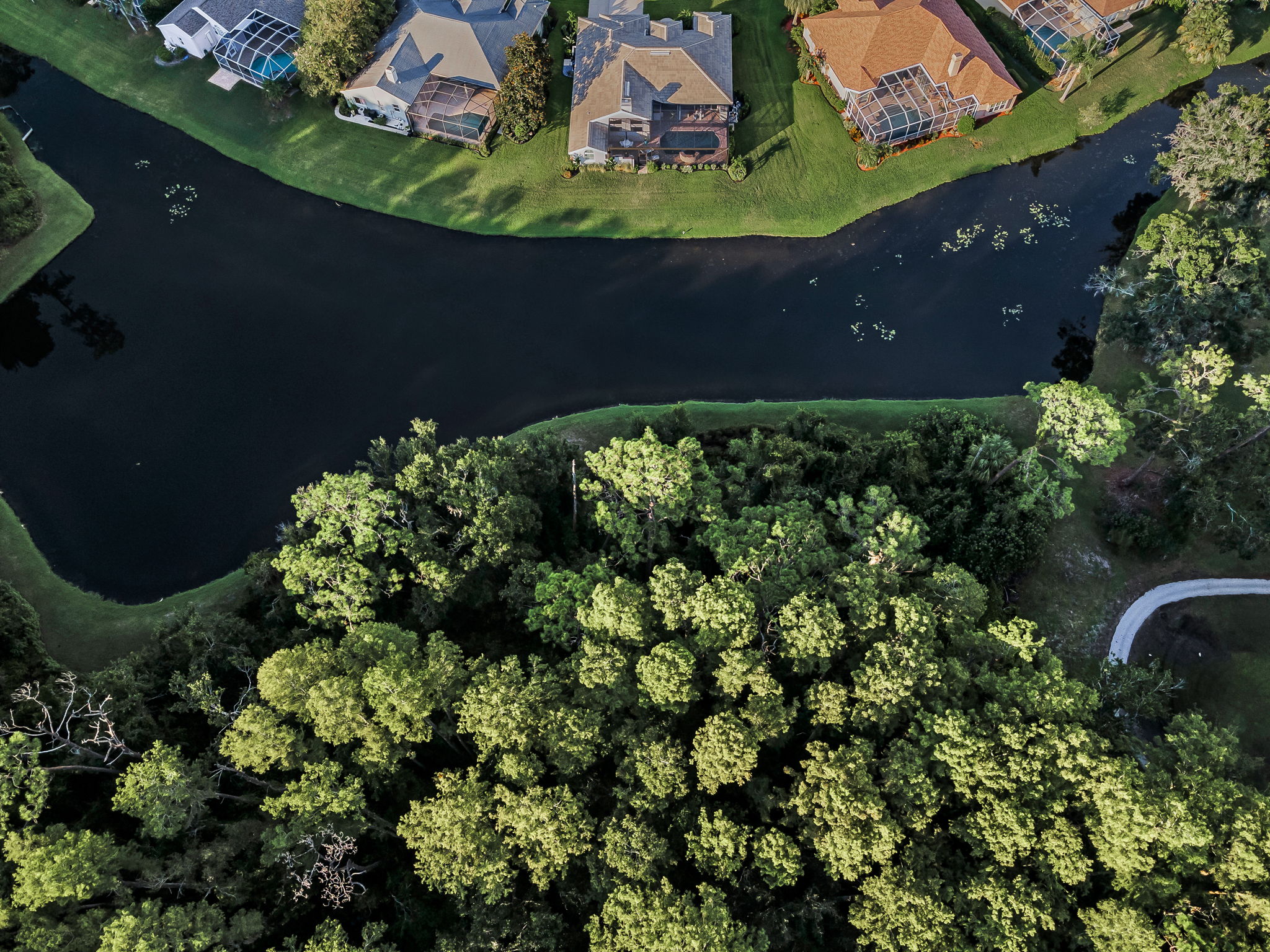 Aerial (28)