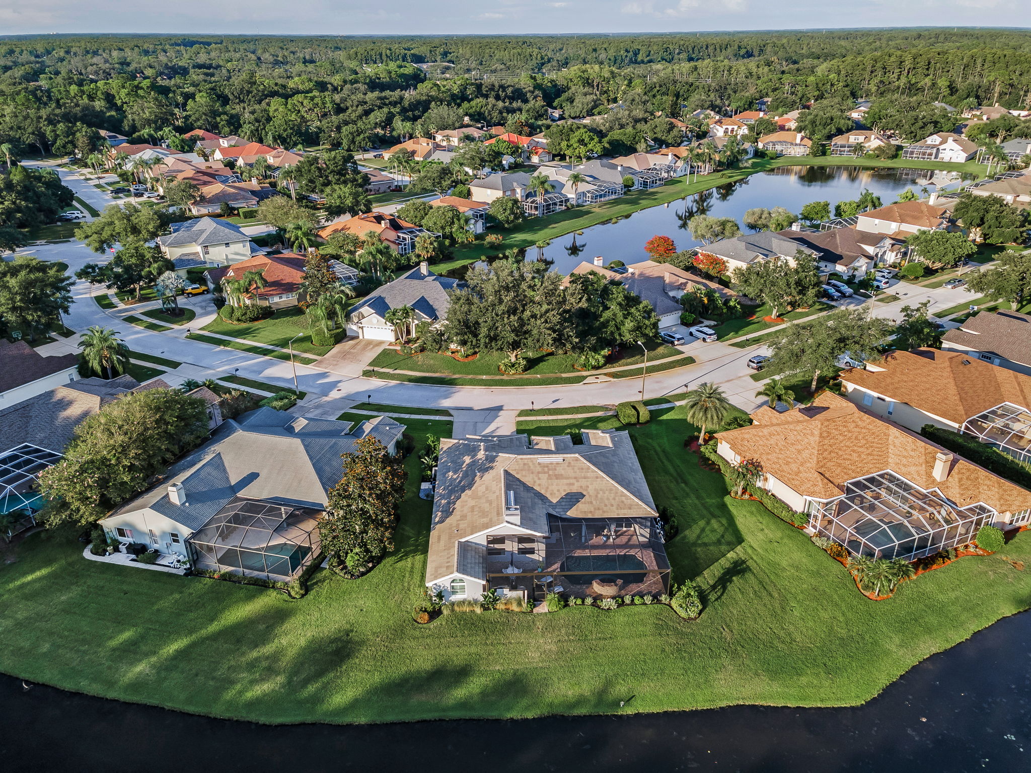 Aerial (29)
