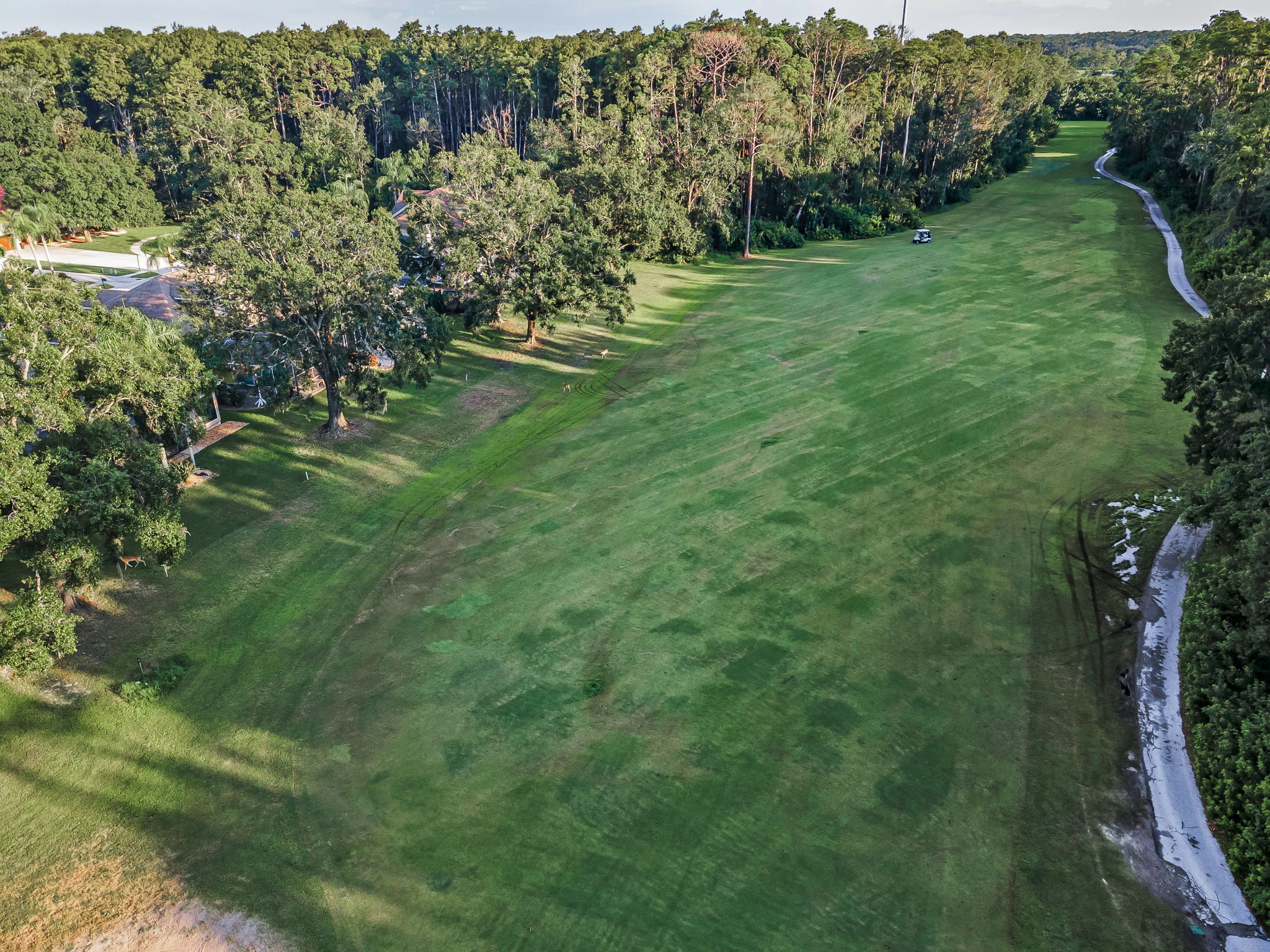 Aerial (37)