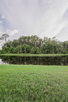 Backyard2