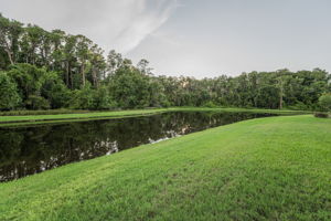 Backyard3