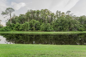 Backyard4