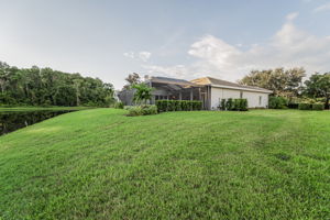 Backyard9