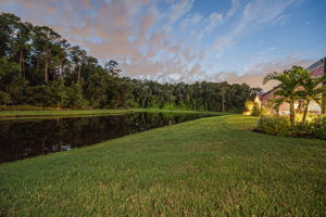 Backyard31
