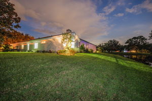 Backyard35