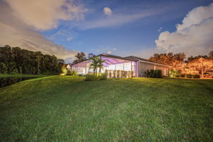 Backyard39