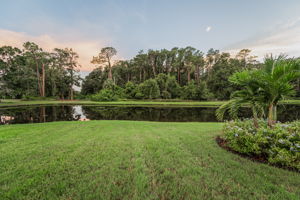 Backyard44