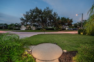 Frontyard20