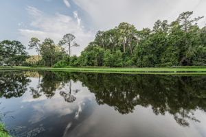 Water View1