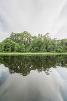 Water View2