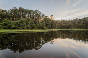 Water View10