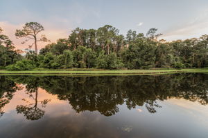 Water View12