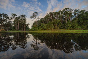 Water View20